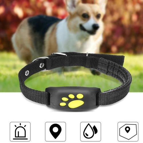 GPS Pet Tracker for Real-Time Location Monitoring